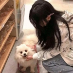 出发吧妖怪公测版下载