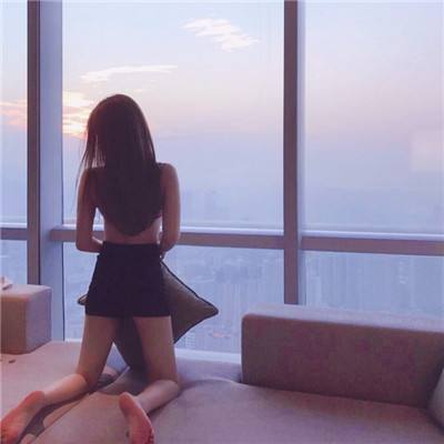 权力的仆人官方